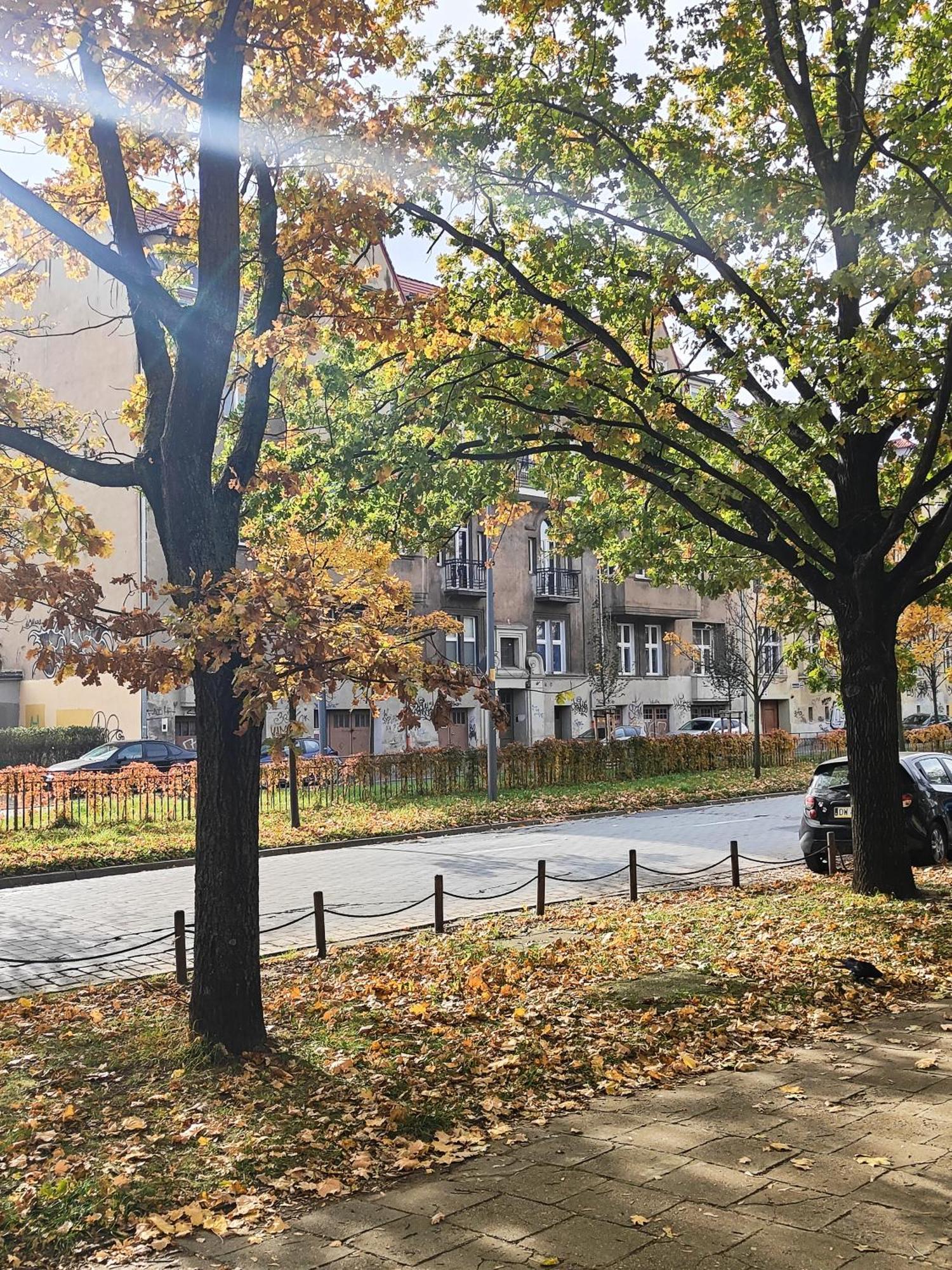 Apartament Stylowa Kamienica Βρότσλαβ Εξωτερικό φωτογραφία